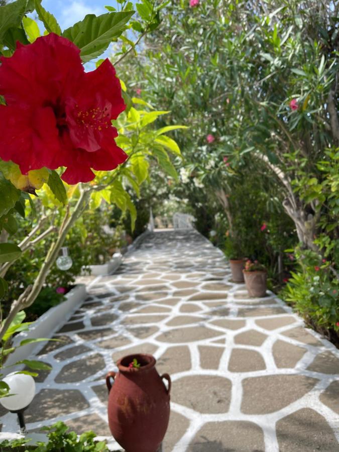 Seaside Studios Arkasa Karpathos Esterno foto